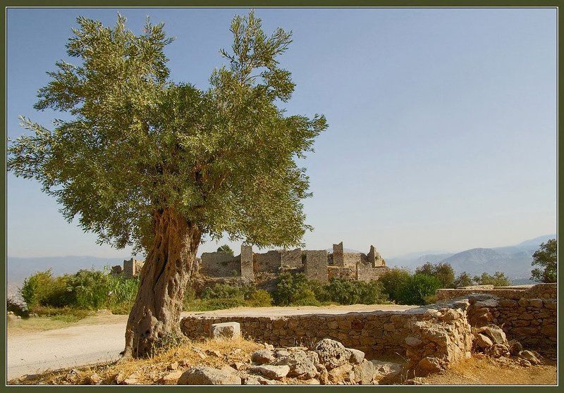 турция, утро, олива, крепость, горы, развалины, Время и Пространство. фото превью