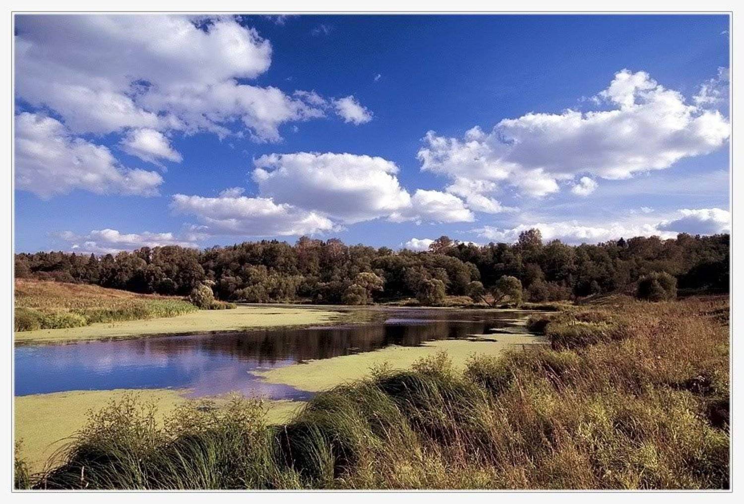 речка, десна, вода, камыш, облака, Евгений Гаганов