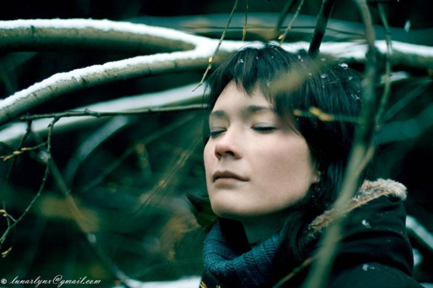 холод зима портрет, lunarlynx