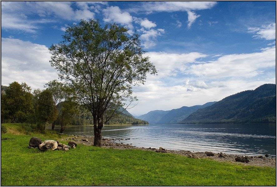 алтай, горы, горный алтай, озеро, телецкое, утро, дерево, аня графова, Аня Графова