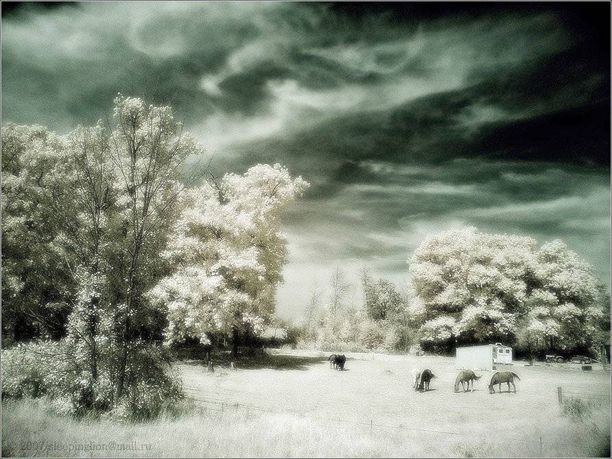 ик, пейзаж, infrared, инфракрасный, инфракрасное, pilgrim, Pilgrim