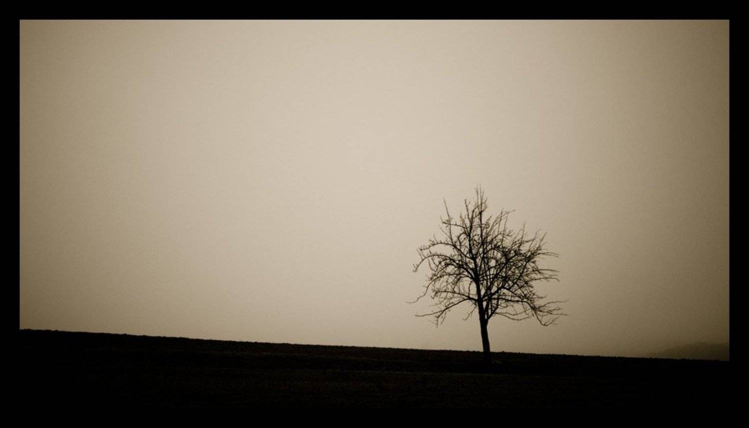 пирогово, Вишняков Александр