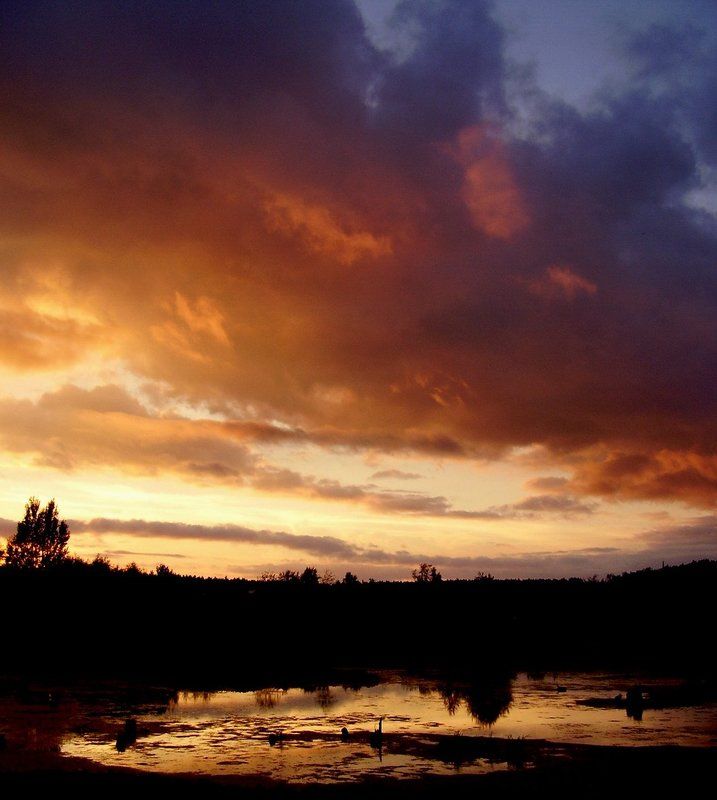 лето, закат, облако Тревожный закат фото превью
