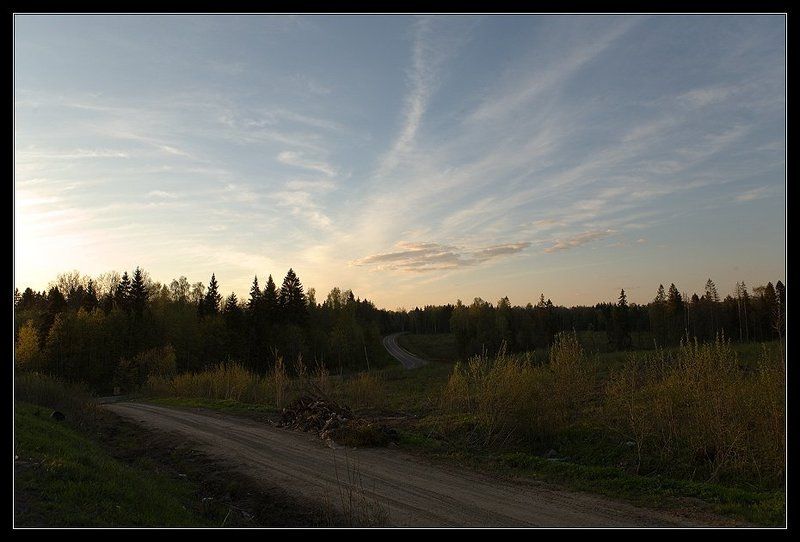 дороги дорога лес небо Там по извилистым дорогам ... фото превью