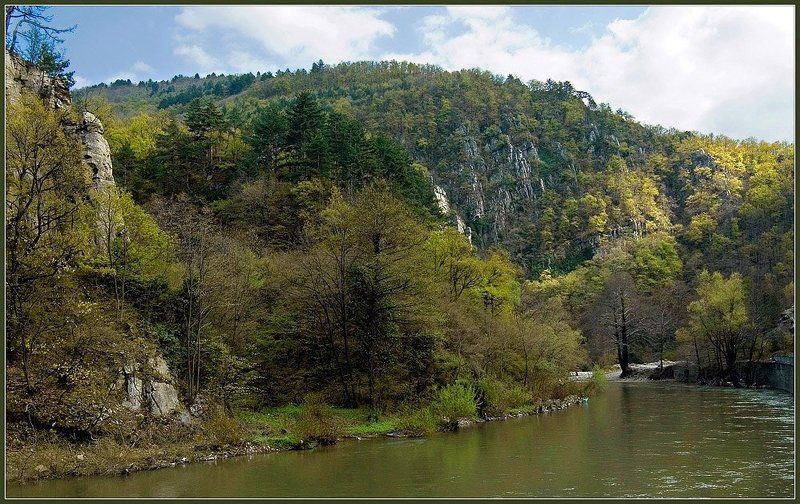 болгария, горы, родопы, весна, река, чепеларска Весна в Родопах. фото превью
