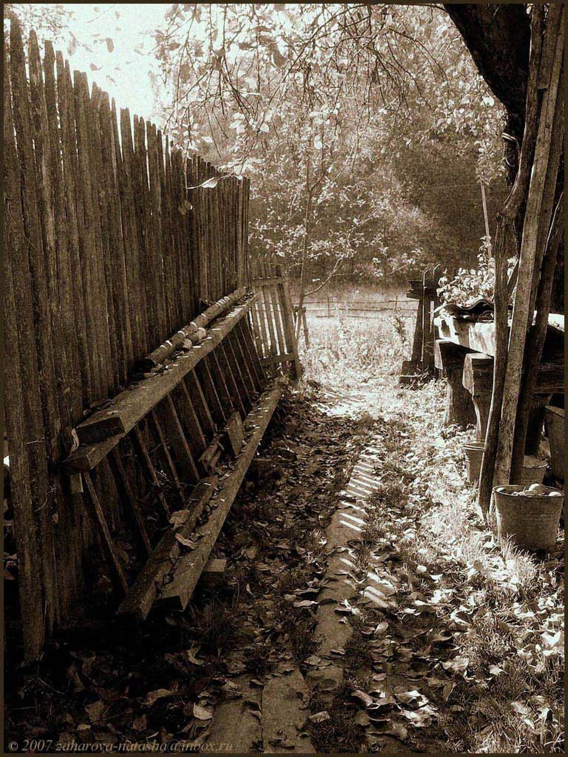 утро, деревня, забор, лестница, юрлово, Наталья Захарова