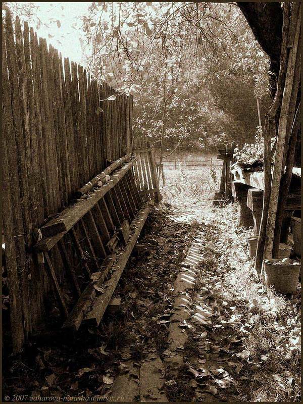 утро, деревня, забор, лестница, юрлово Утро... фото превью
