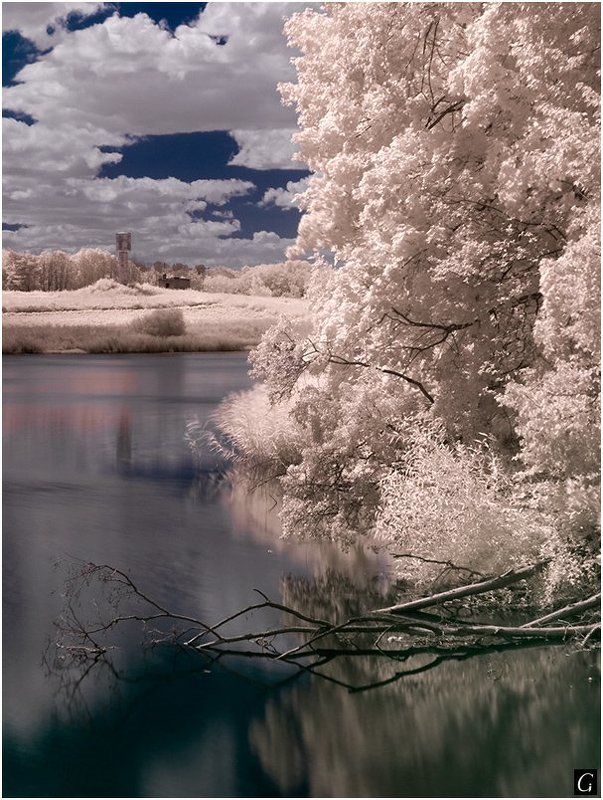 талашкино, инфракрасное этюд в инфракрасном стиле фото превью