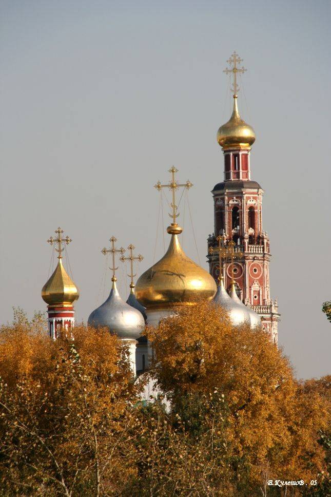 город,купола,москва,золото,новодевичий,осень,храм,церковь,кулешов, Кулешов Евгений