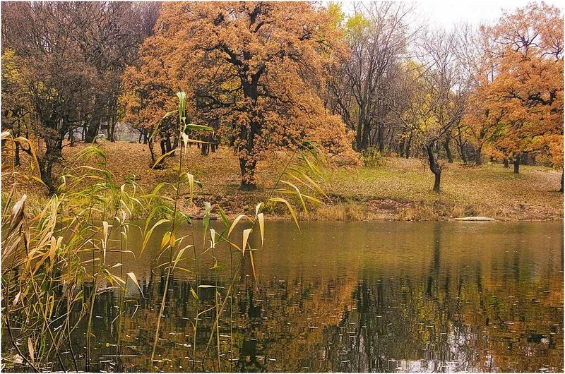 осень, пейзаж, вода, деревья Душевное состояние осени фото превью