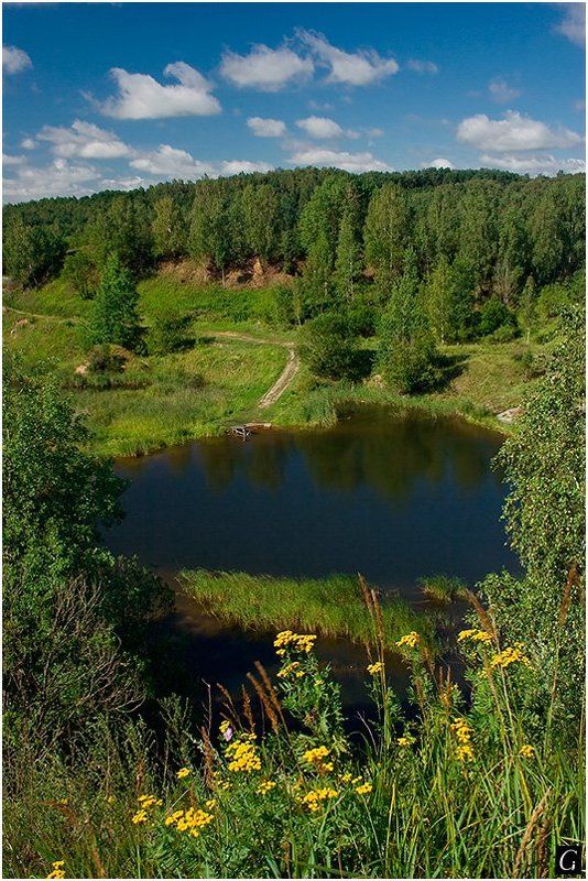 талашкино, лето, озерцо Летняя яркая фотография про маленькое озерцо фото превью