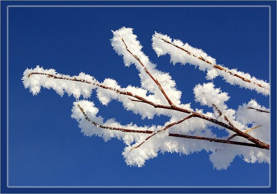 иней, Солодухин Виктор