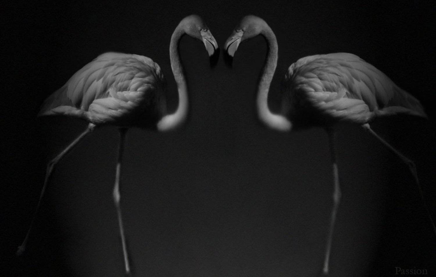 , Любовь Роктанэн