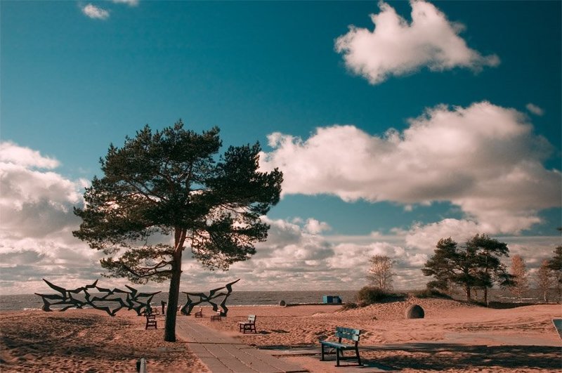 финский залив,облака, ... фото превью