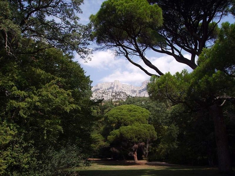 лес, гора, полянка Уединение фото превью