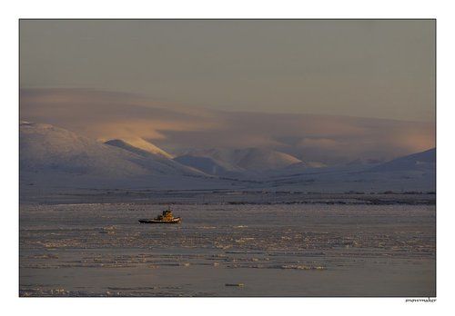 Про маленький буксирчик с большими амбициями...