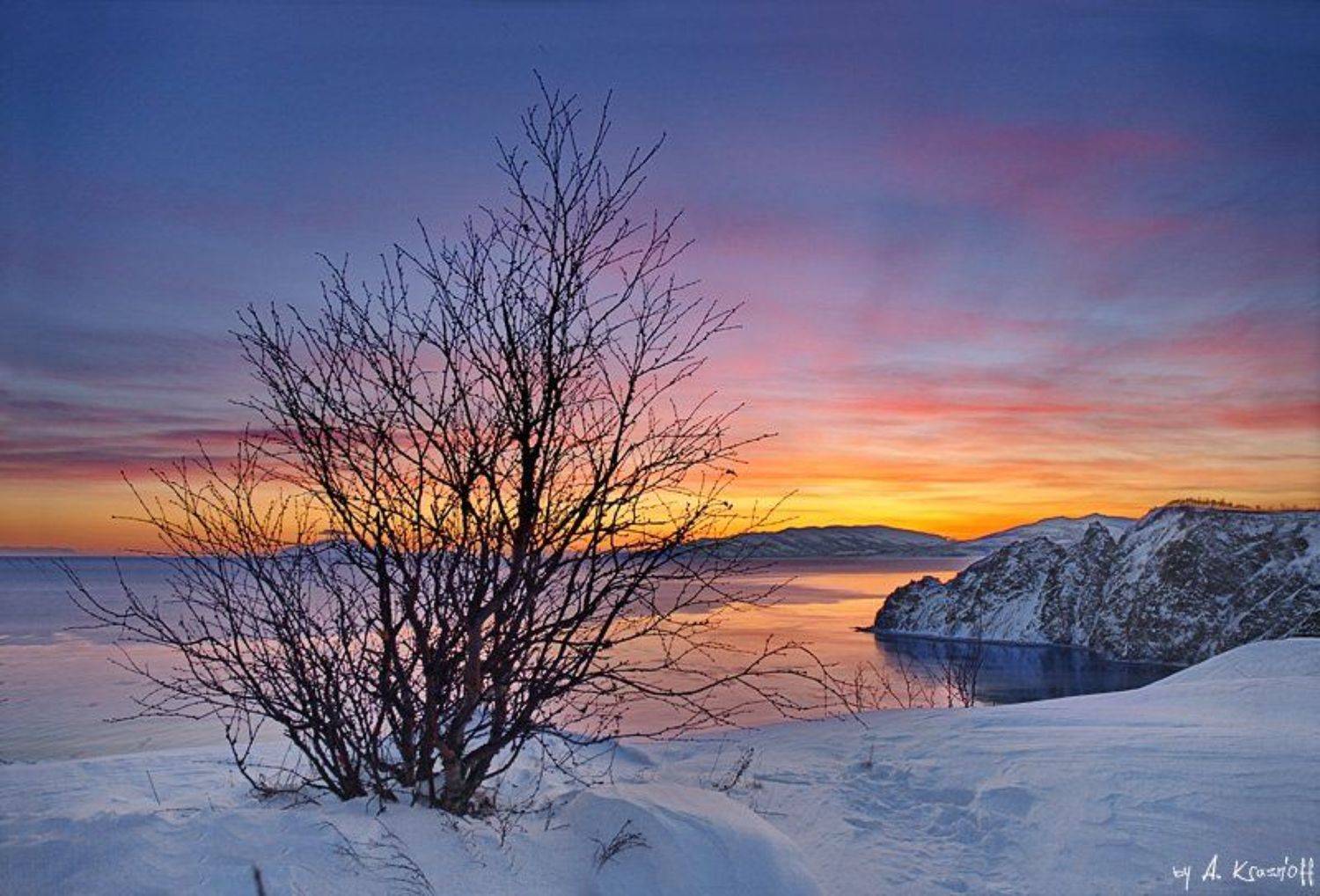 магадан, дерево, охотское, море, лед, закат, A.Krasnoff