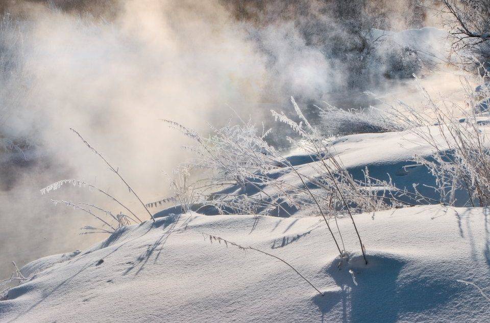 , Владимир Липецких