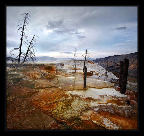 Minerva Terrace, Mammoth Hot Springs, Yellowstone.