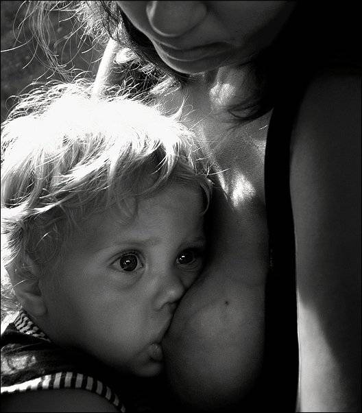 дети вечная тема, Eland