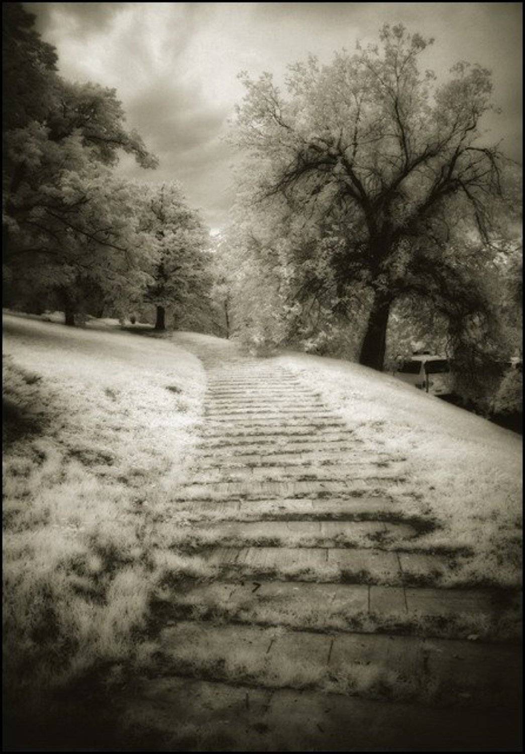 infrared инфракарсная ик венгрия, Тайлер Дёрден