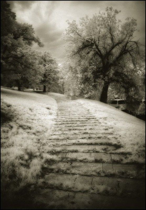 infrared инфракарсная ик венгрия infrared hungary фото превью