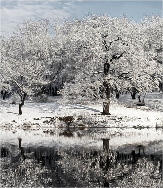 Рапсодия зимы фото превью