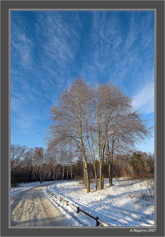 зима солнце снег небо деревья дорога парк кузьминки Зима в Кузьминках фото превью