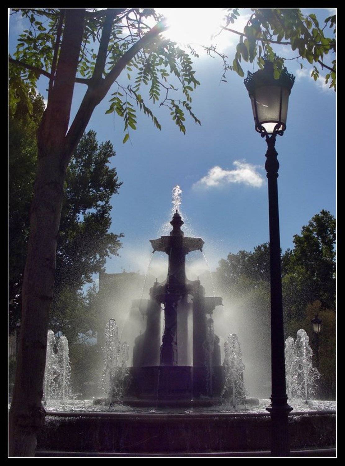 , Лунный Ежик