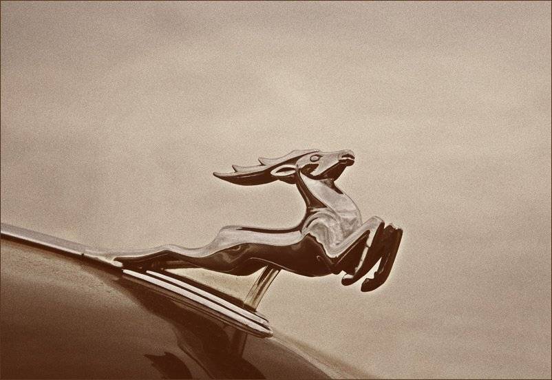 gazel, газель, авто, экзотика, Lelya