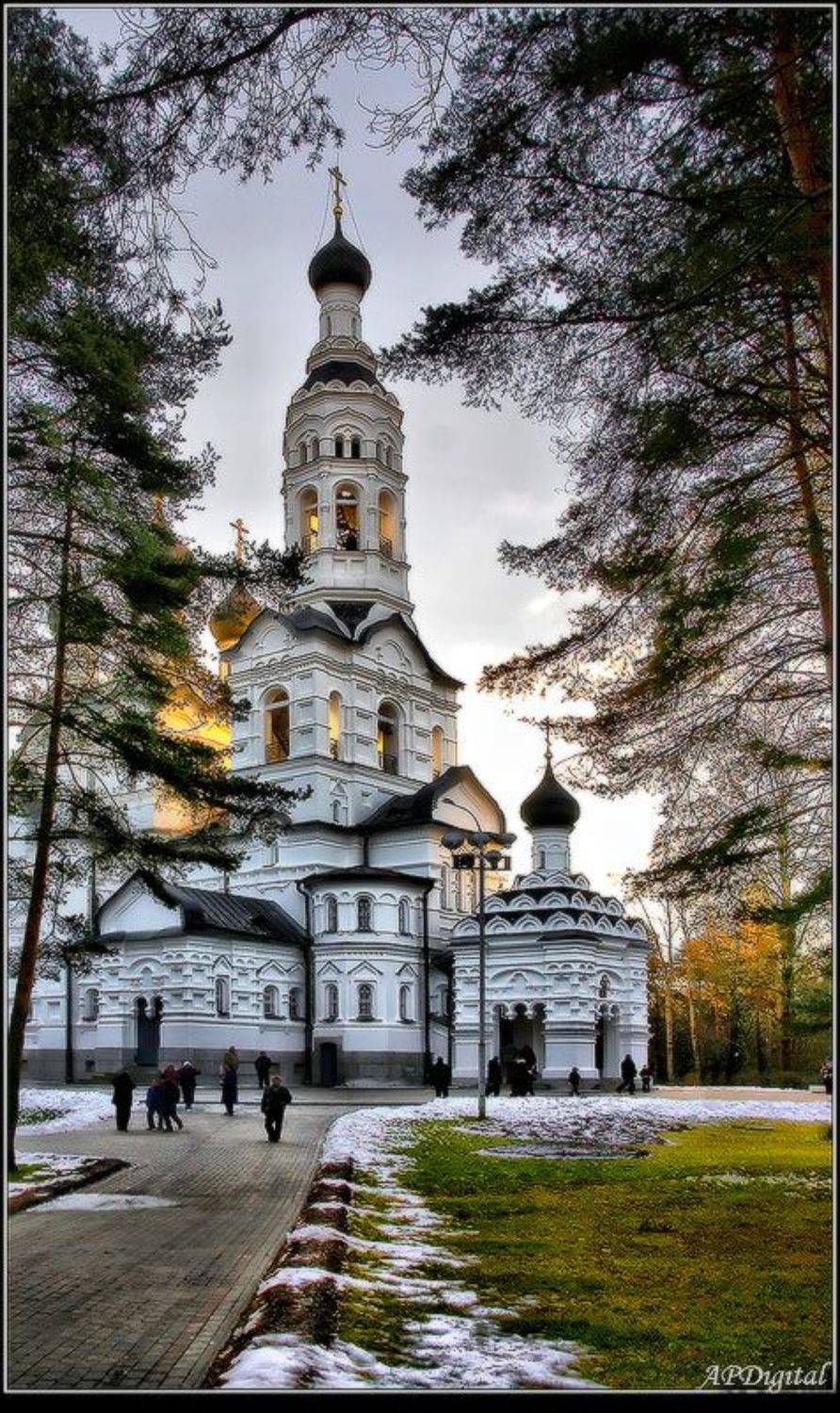 зеленогорск, A_Pol