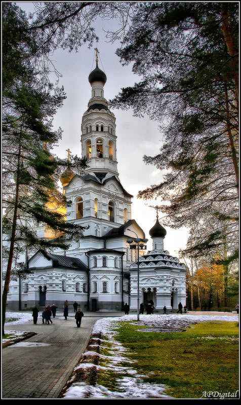 зеленогорск Свет фото превью