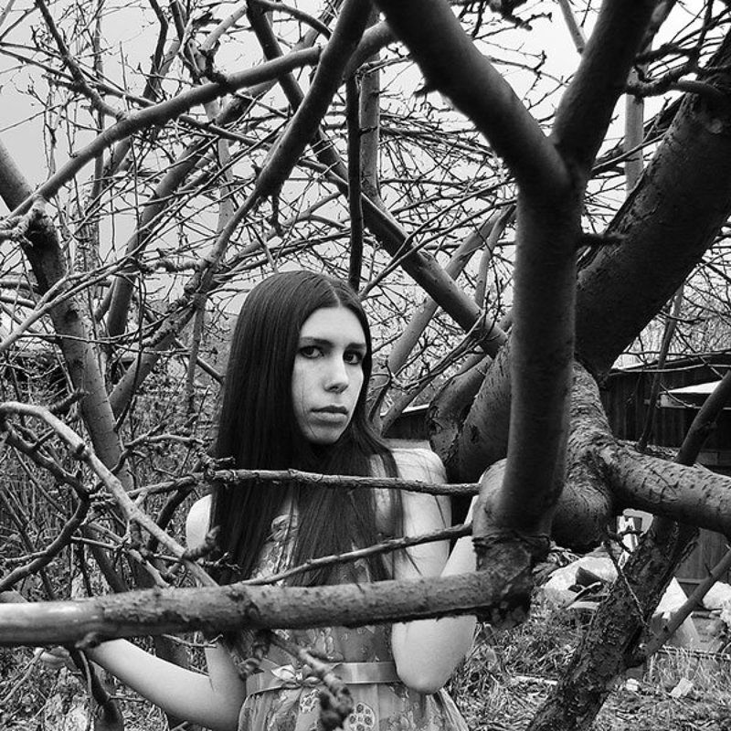 мы срослись плавниками фото превью