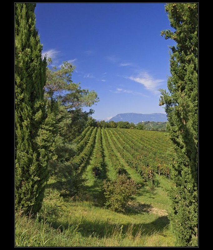 Тоскана фото превью