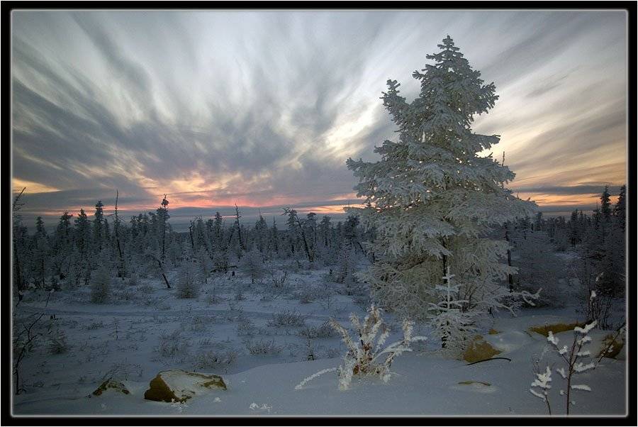 закат зима тайга заполярье, Солодухин Виктор