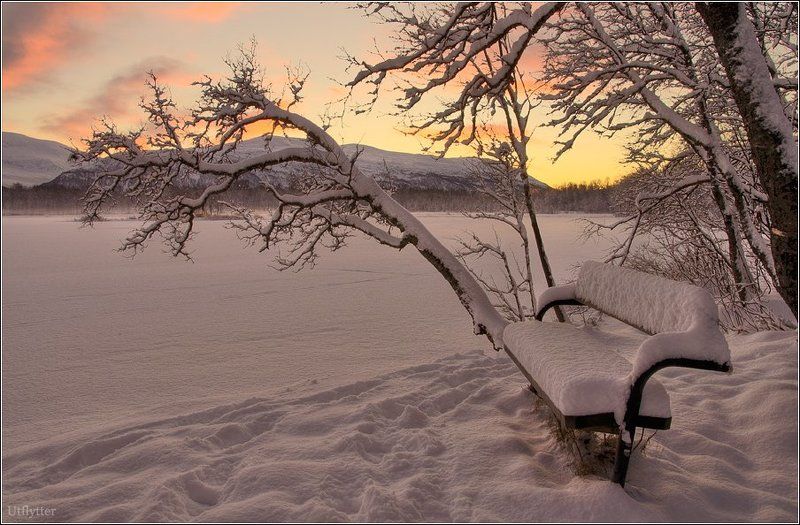 Утро в заполярье фото превью