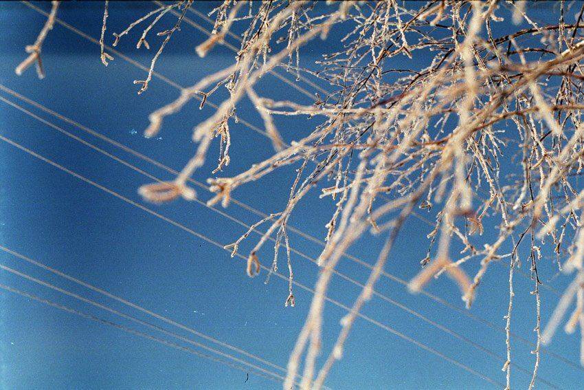 kamushek, пленка, зенит-122, kamushek