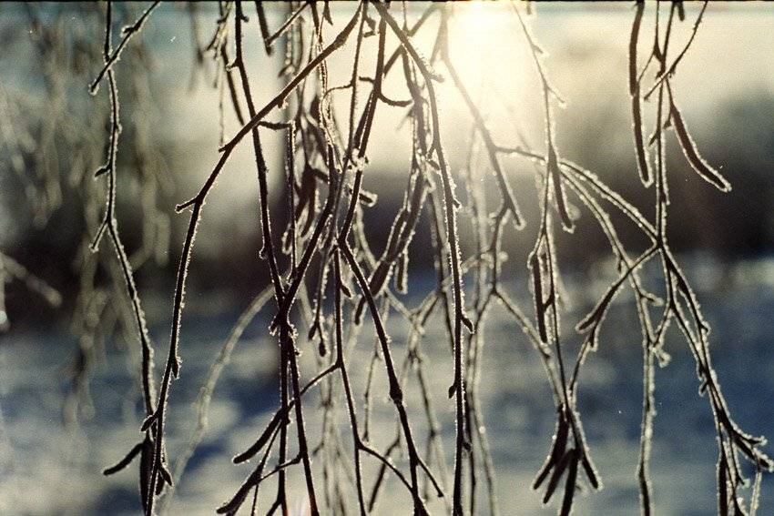 kamushek, пленка, зенит-122, kamushek