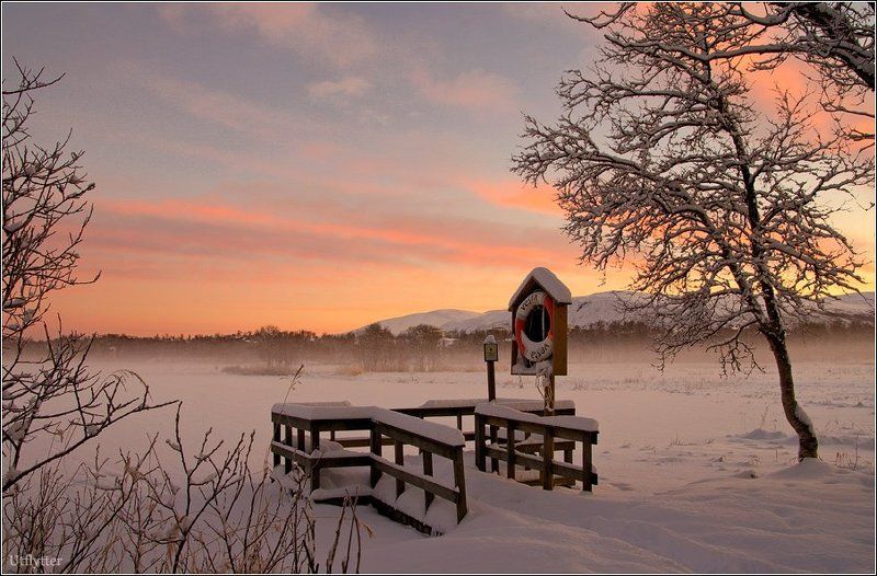 Утро в заполярье #2 фото превью