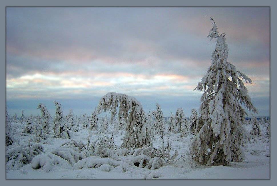 тайга зима якутия, Солодухин Виктор