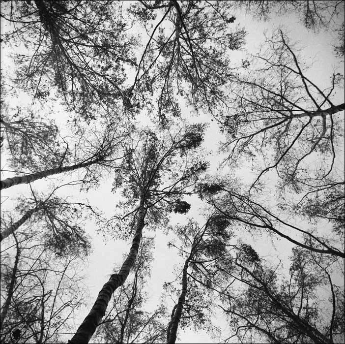 чб,  пленка, 6x6, Berezin Saveliy