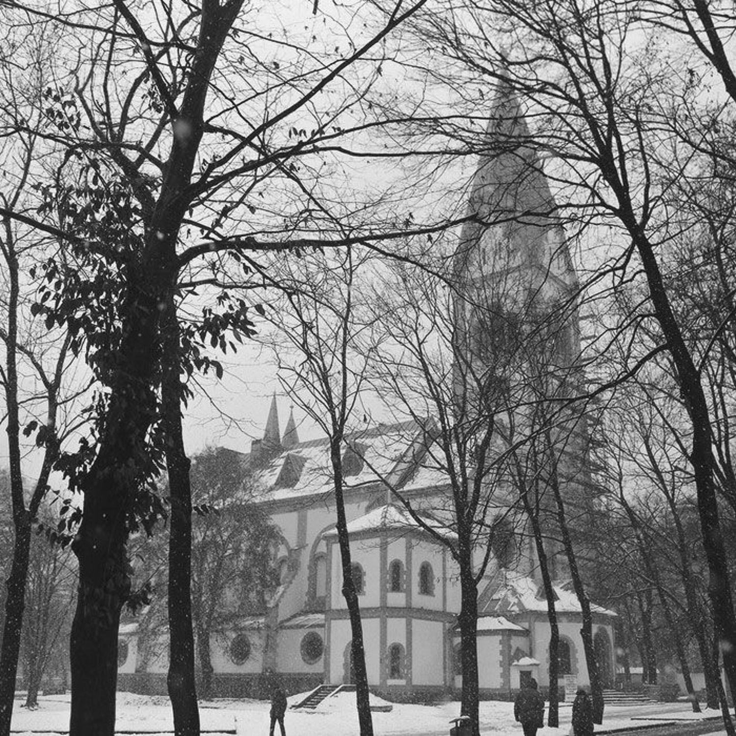 kamushek, калининград, кёнигсберг, 120, пленка, 6x6, киев-6с, мир-38б, kamushek