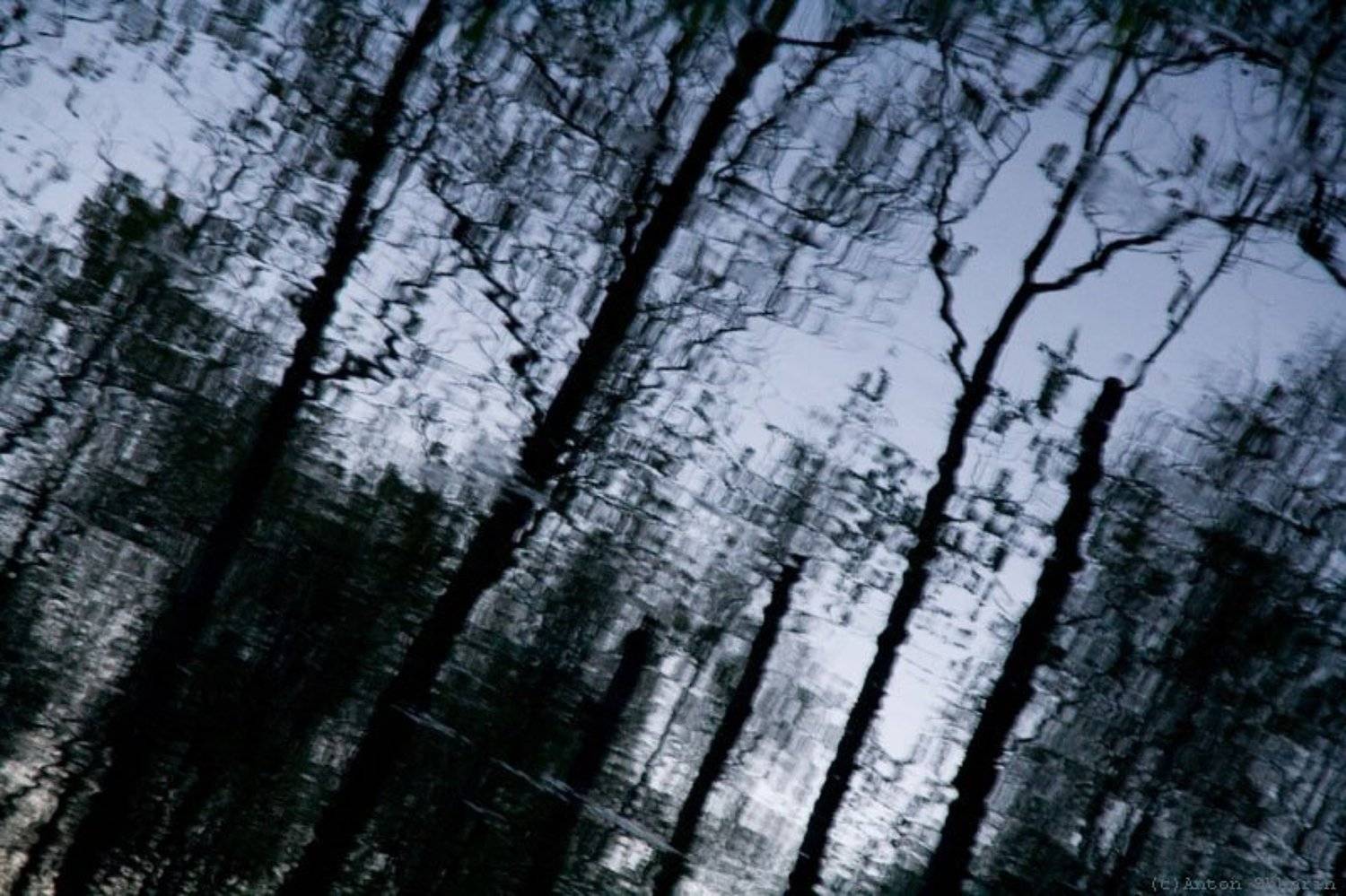 , Антон Шкарин