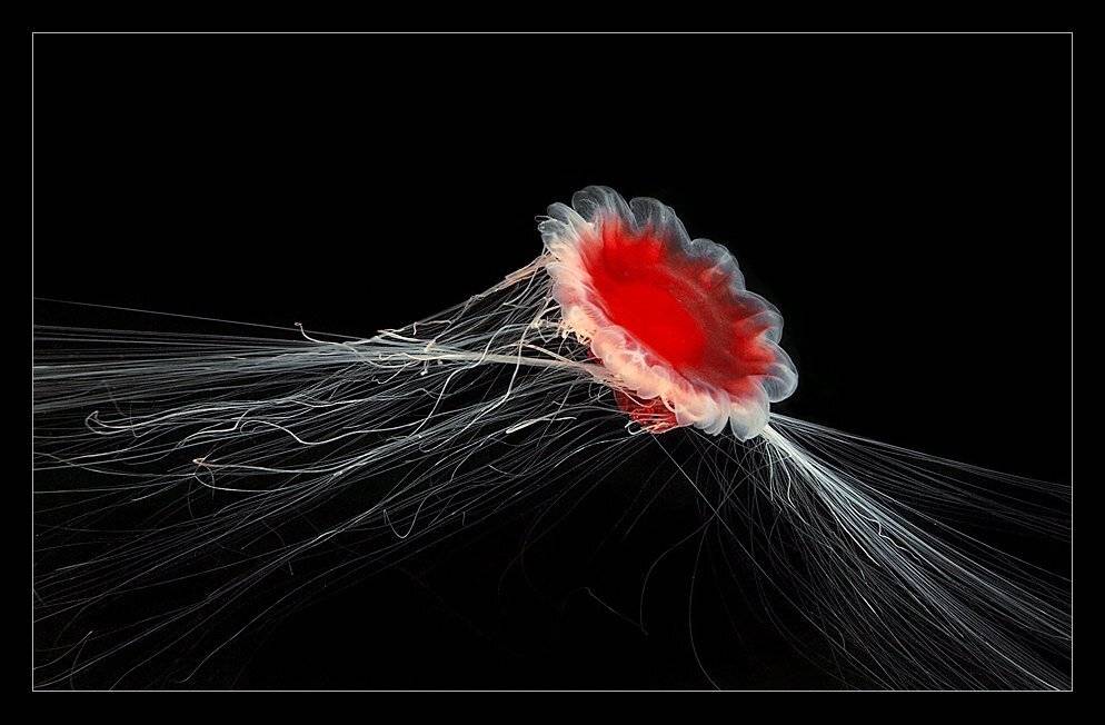 , Марина Кочетова