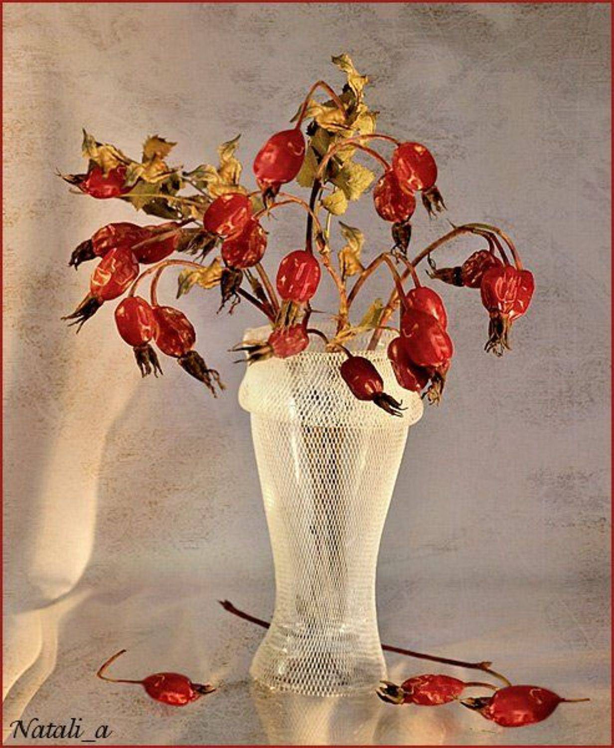 шиповник, осень, Natali_a