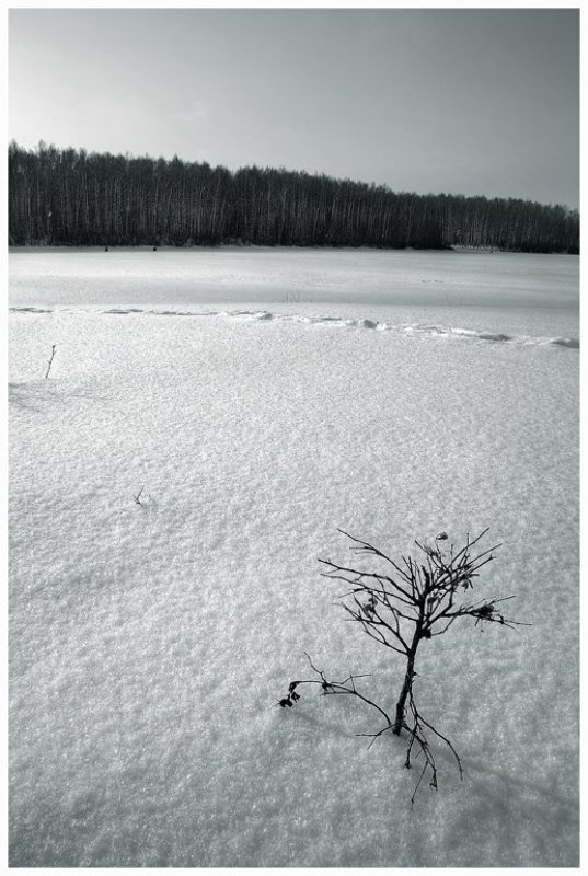 про немноголюдную рыбалку... фото превью