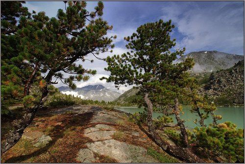 Всем ветрам назло