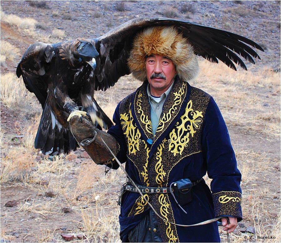 беркутчи, Вадько