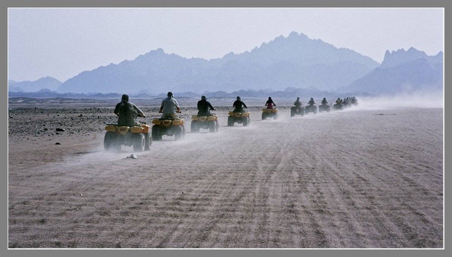 , Лунный Ежик