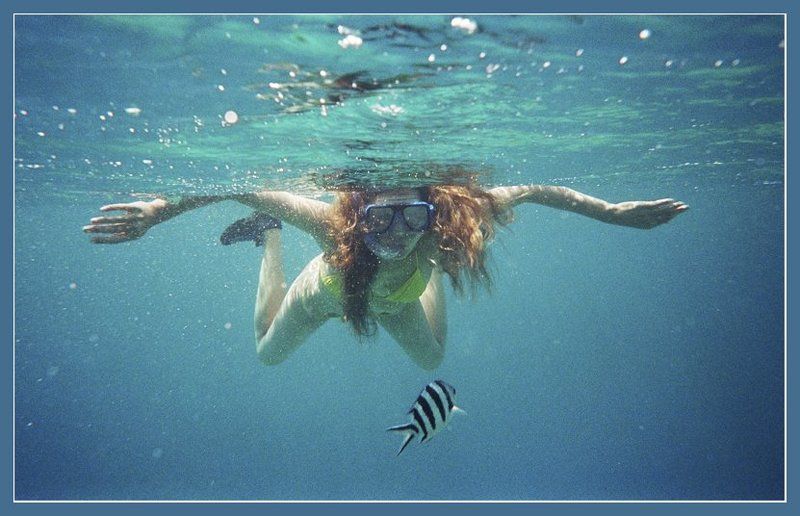 Встреча фото превью